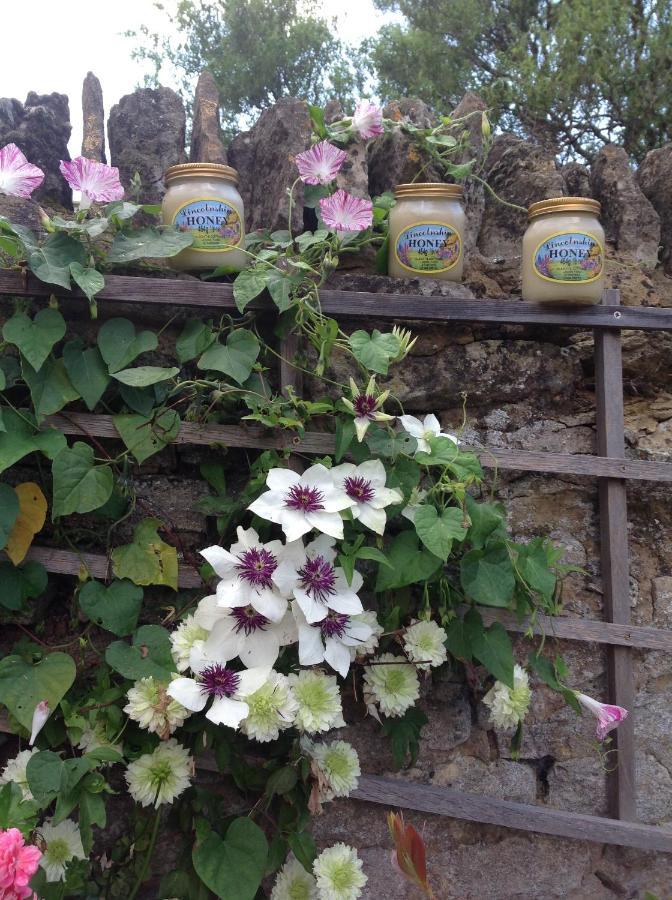 The Oak Lodge, Clematis Cottages, Stamford Esterno foto
